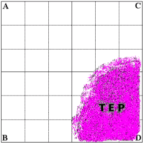Total Employee Performance