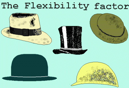 project flexibility