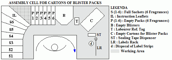 Packaging Cell for Cartons of Blister Packs